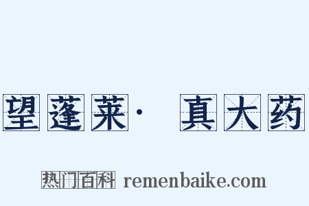 望蓬莱·真大药是什么意思的图片